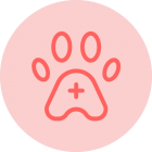 Veterinario