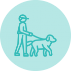 Cão Andando
